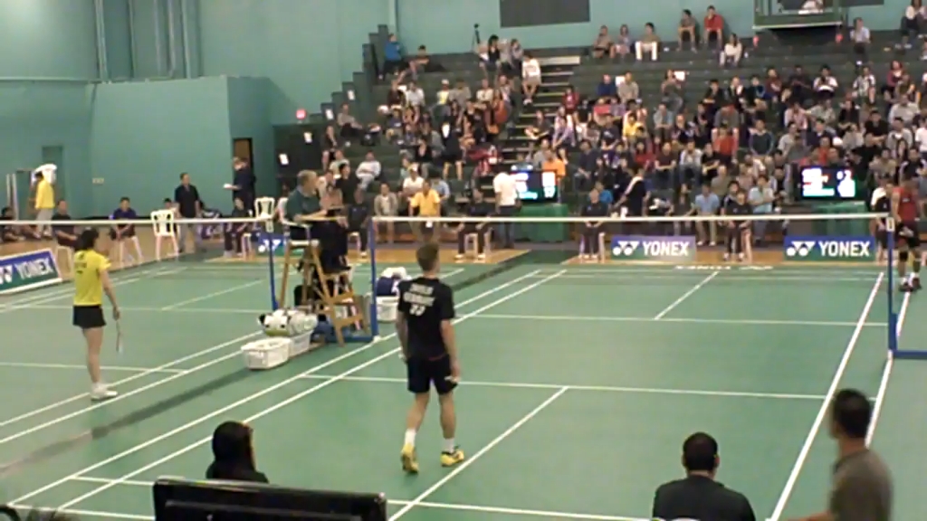 leisu-法国羽毛球队血洗中国羽毛球队，陶菲克绝境逆转